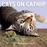 Coffret Cats on Catnip 2025 de Andrew Martilla