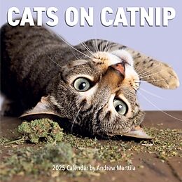 Coffret Cats on Catnip 2025 de Andrew Martilla