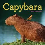 Livre Broché Capybara Wall Calendar 2026 von Workman Calendars