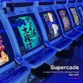 E-Book (pdf) Supercade: A Visual History of the Video Game Age 1985-2001 von Van Burnham