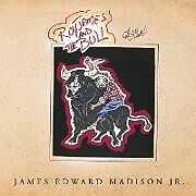 Couverture cartonnée RoyJames and the Bull de James Edward Madison Jr.
