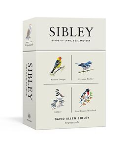 Postkartenbuch/Postkartensatz Sibley Birds Of Land, Sea, And Sky von David Allen Sibley