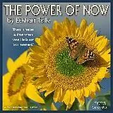 Kalender The Power of Now 2025 Wall Calendar von Eckhart Tolle, Amber Lotus Publishing