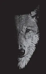 Fester Einband In the Company of Wolves von Sam Hughes, Bill George