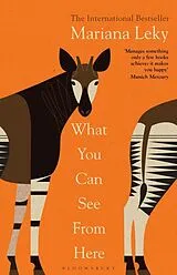 Kartonierter Einband What You Can See From Here von Mariana Leky