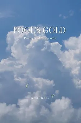E-Book (epub) Fool's Gold von Arch Hades