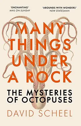E-Book (epub) Many Things Under a Rock von David Scheel