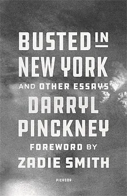 E-Book (epub) Busted in New York & Other Essays von Darryl Pinckney