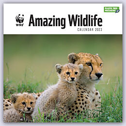 Kalender WWF Amazing Wildlife Square Wall Calendar 2023 von Carousel Calendar