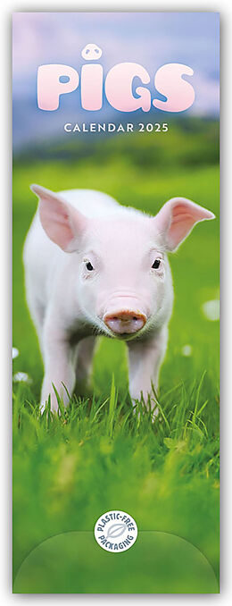 Kalender Pigs Slim Calendar 2025 von Carousel Calendar