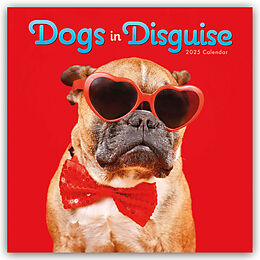 Kartonierter Einband Dogs in Disguise  Verkleidete Hunde  Hunde in Verkleidung 2025  Wand-Kalender von Carousel Calendar