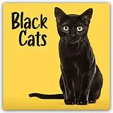 Kalender Black Cats - Schwarze Katzen 2027 - Wand-Kalender von Carousel Calendar
