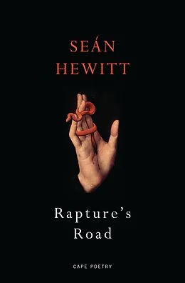 E-Book (epub) Rapture's Road von Seán Hewitt
