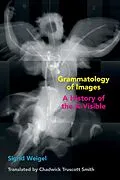 E-Book (epub) Grammatology of Images von Sigrid Weigel