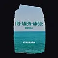 E-Book (epub) Tri-Anew-Angle von Roy-Allan Burch