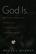 E-Book (epub) God Is . . . von Wesley J. Wildman