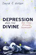 E-Book (epub) Depression and the Divine von David C. Wilson