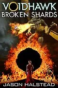 E-Book (epub) Voidhawk - Broken Shards von Jason Halstead