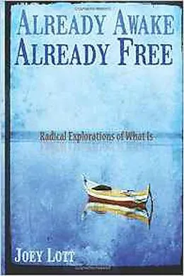 E-Book (epub) Already Awake, Already Free von Joey Lott