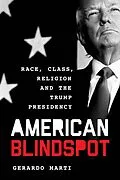 E-Book (epub) American Blindspot von Gerardo Martí