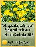 E-Book (epub) "All sparkling with dew"... Spring and its flowers return to Cambridge, 2016 (Flower Power, #1) von Jeffrey Lant