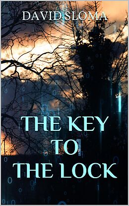 E-Book (epub) The Key to the Lock von David Sloma