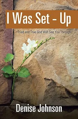 E-Book (epub) I Was Set - Up von Denise Johnson