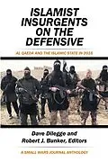E-Book (epub) Islamist Insurgents on the Defensive von Dave Dilegge