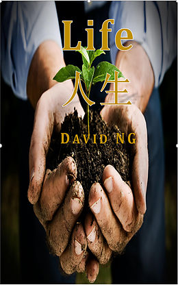 E-Book (epub) Life von David Ng