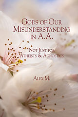 E-Book (epub) Gods of Our Misunderstanding in A.A. von Alexander M.