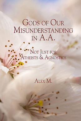 eBook (epub) Gods of Our Misunderstanding in A.A. de Alexander M.