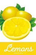 E-Book (epub) Lemons von Sawhney