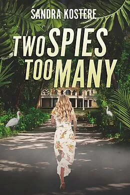 E-Book (epub) Two Spies Too Many von Sandra Kostere