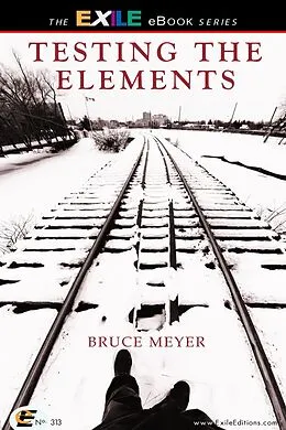 E-Book (pdf) Testing the Elements von Bruce Meyer