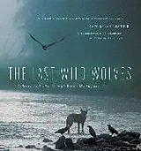 Kartonierter Einband The Last Wild Wolves von Ian McAllister