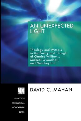 Kartonierter Einband An Unexpected Light von David C. Mahan