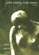Kartonierter Einband What Waiting Really Means von June Akers Seese