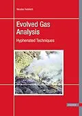 E-Book (pdf) Evolved Gas Analysis von Nicolas Fedelich