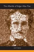 E-Book (pdf) Afterlife of Edgar Allan Poe von Scott Peeples