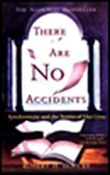 Kartonierter Einband There Are No Accidents von Robert H. Hopcke
