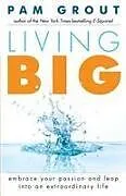 Kartonierter Einband Living Big von Pam Grout