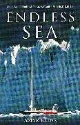 Kartonierter Einband (Kt) Endless Sea von Klink Amyr