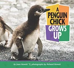 E-Book (pdf) Penguin Chick Grows Up von Joan Hewett
