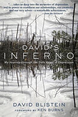 E-Book (epub) David's Inferno von David Blistein