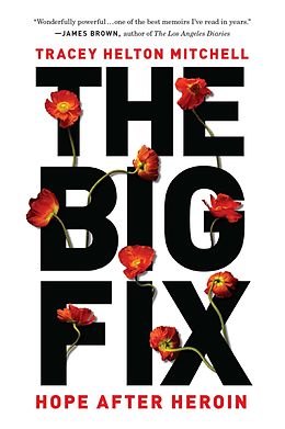 E-Book (epub) Big Fix von Tracey Helton Mitchell