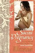 E-Book (epub) Sacred Pregnancy von Anni Daulter