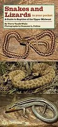 PDF Snakes and Lizards in Your Pocket von VanDeWalle Terry VanDeWalle