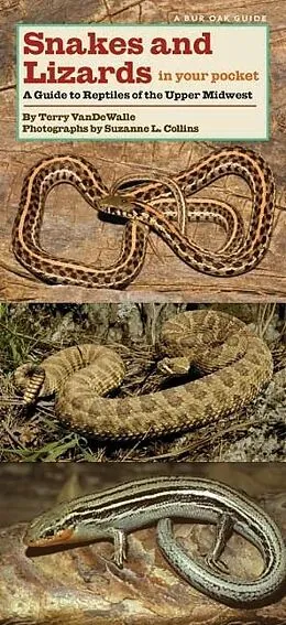 PDF Snakes and Lizards in Your Pocket von VanDeWalle Terry VanDeWalle