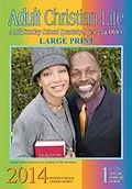 E-Book (epub) Adult Christian Life von Wardine Winfrey-Couch