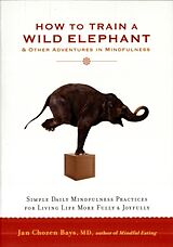 Poche format B How to Train a Wild Elephant de Jan Chozen Bays